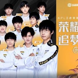 某些评论员 某些评论员