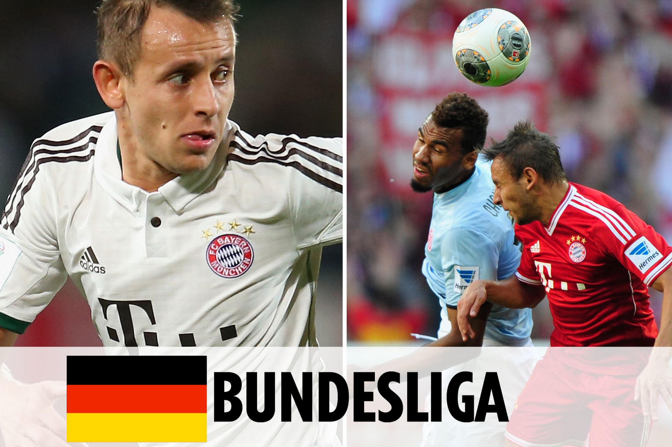 报中的亮相 报中的亮相